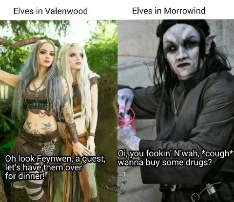Valenwood Elves Meet Morrowind