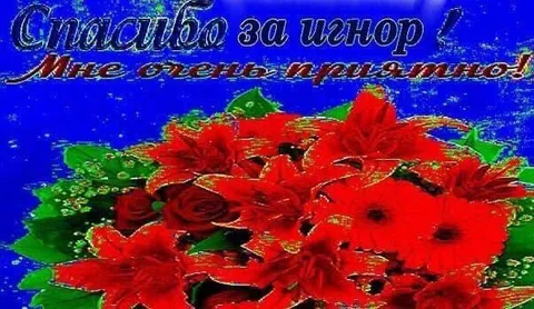 Спасибо за игнор
