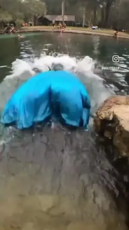 Кит ныряет в бассейн
