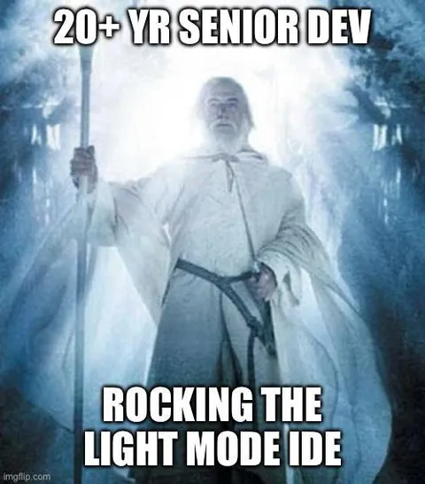 Senior Developer Light Mode IDE