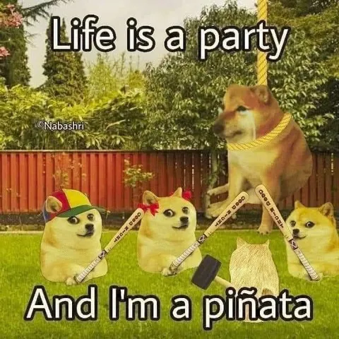 Life Is a Party Piñata Doge