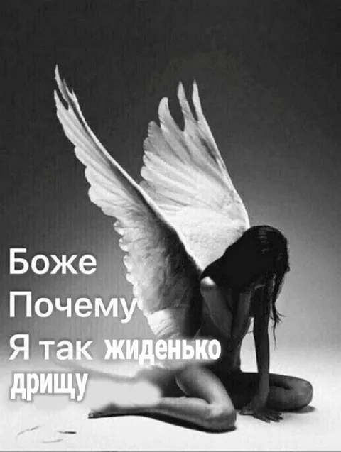 Боже, почему я так жиденько дрищу