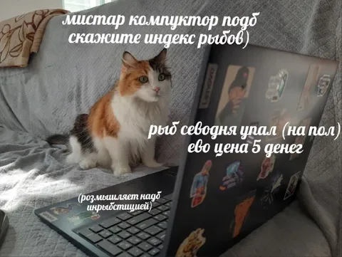 Кот и индекс рыбов