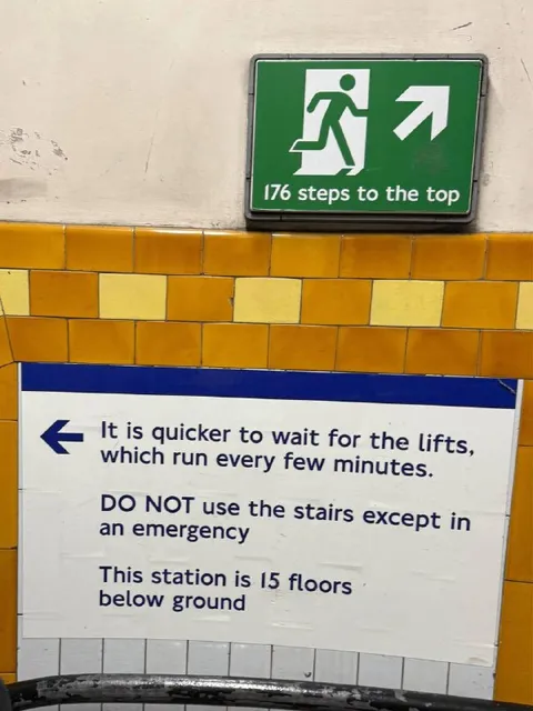 176 Steps to the Top