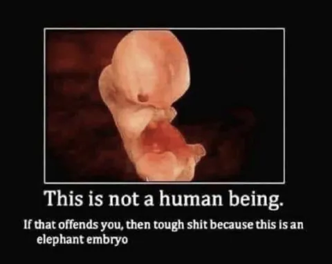 This Is Not a Human Being