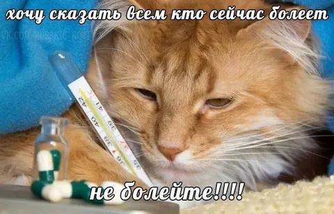 Не болейте, пожалуйста