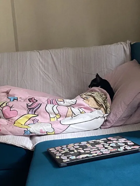 Кот притворяется спящим