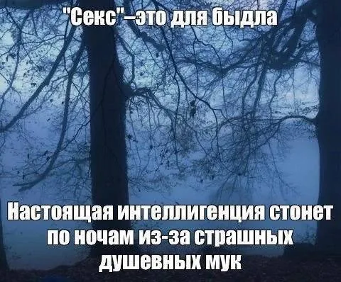 Интеллигенция страдает по ночам