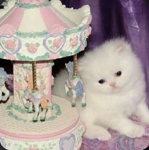 Котёнок рядом с каруселью