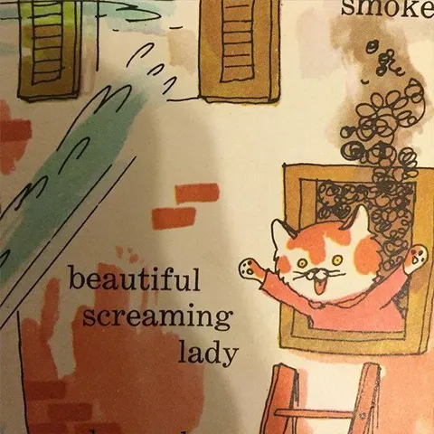 Beautiful Screaming Lady Cat