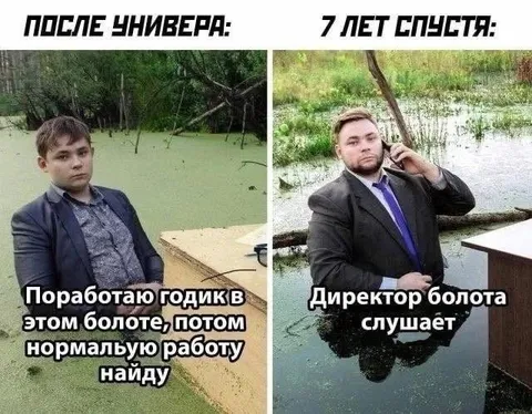 После универа: 7 лет спустя