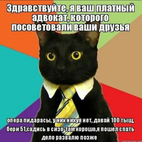Платный адвокат-кот