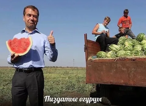 Пиздатые огурцы на бахче