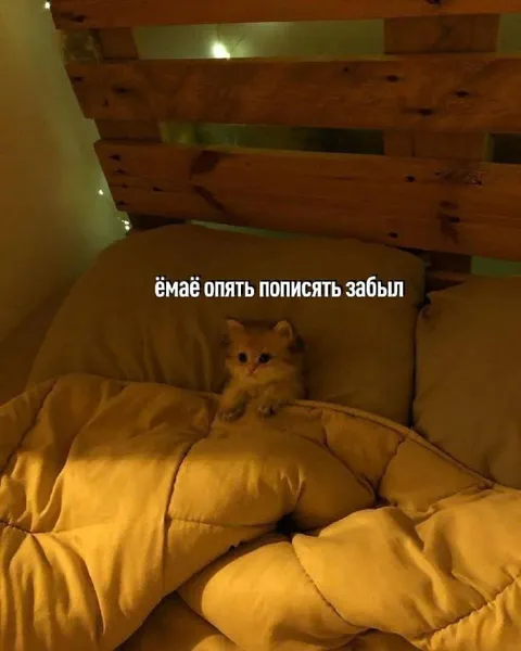 Ёмаё опять пописать забыл