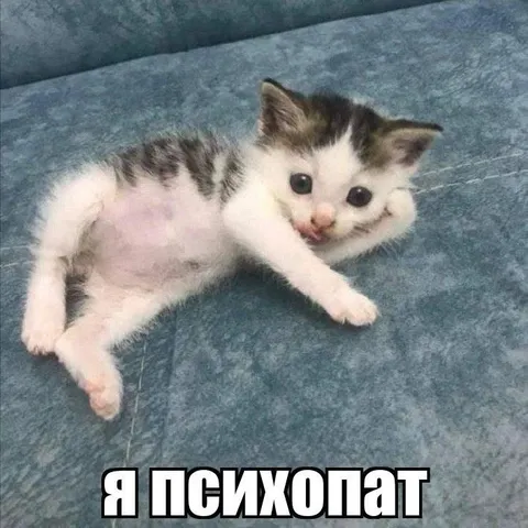 Я психопат