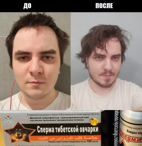 До и после тибетской овчарки