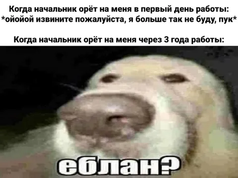 Начальник орёт через три года