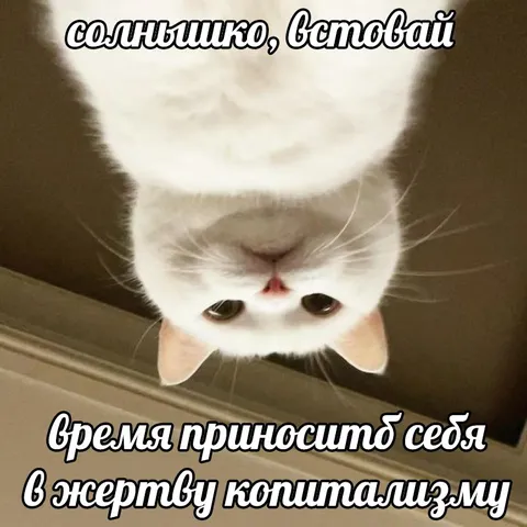 Время приносить себя в жертву капитализму