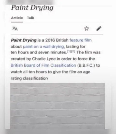 Paint Drying Film Article
