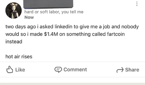 LinkedIn Job Rejection Fartcoin