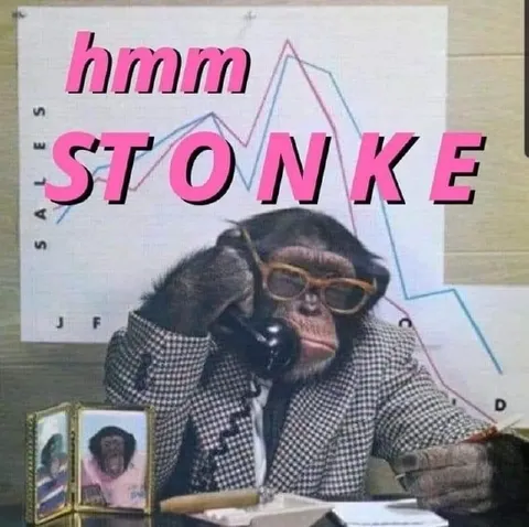 Hmm Stonke Monkey