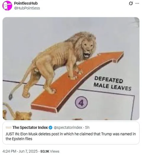 Elon Musk Deletes Trump Post
