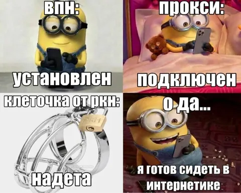 Миньон готов сидеть в интернете