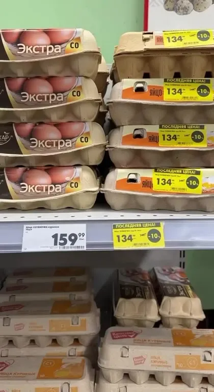 Дама и курица в машине