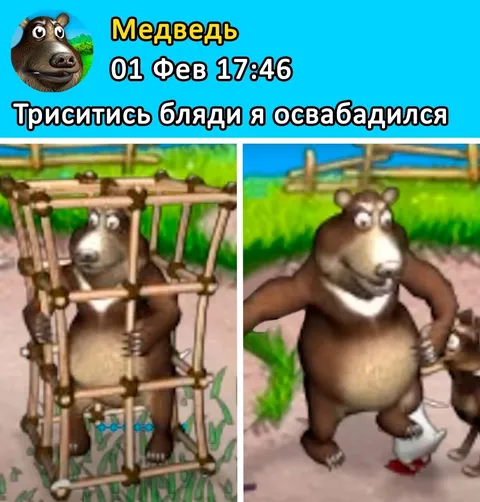 Медведь освободился из клетки