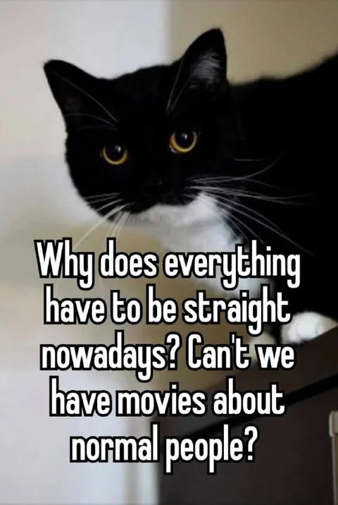 Black Cat Wants Normal Movies