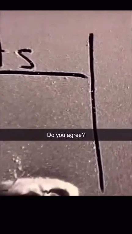 Car Ass Poll