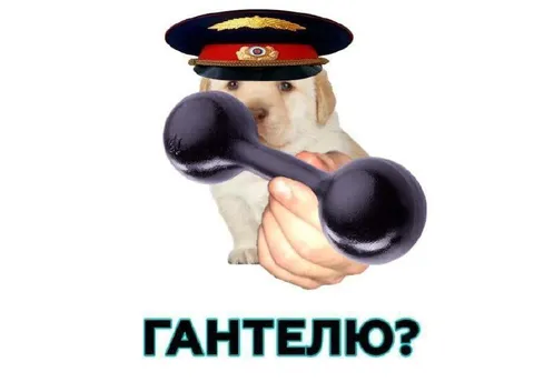 Собачка с гантелью
