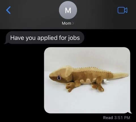 Have You Applied for Jobs