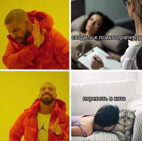 Психотерапевт или кот