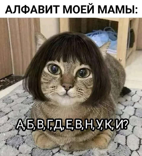 Алфавит моей мамы