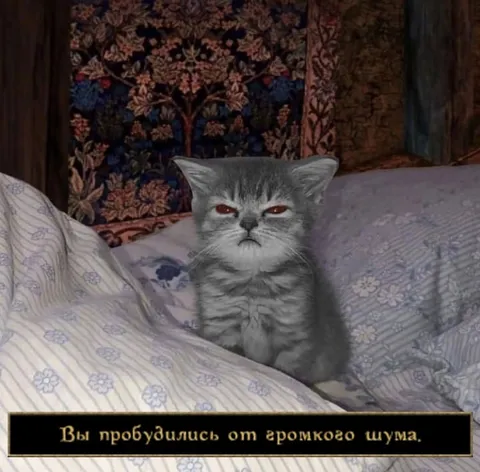 Вы пробудились от громкого шума