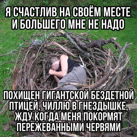 Счастлив в гнёздышке