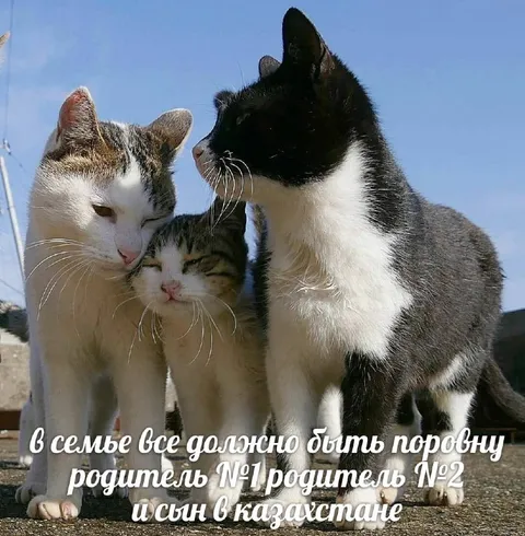 Родитель №1, родитель №2 и сын