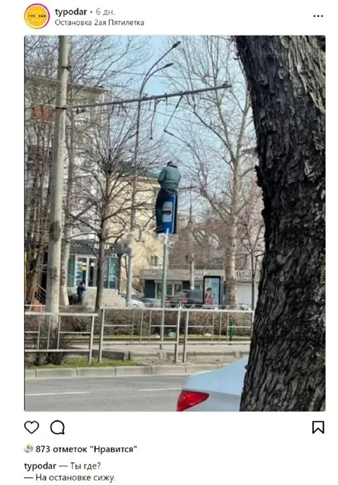 Сижу на остановке