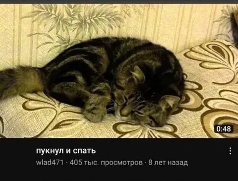 Пукнул и спать