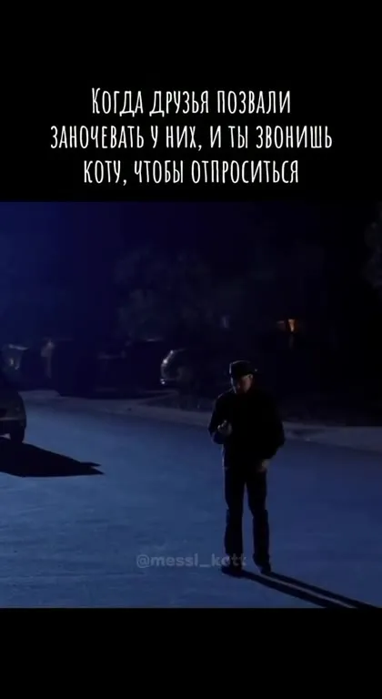 Когда звонишь коту отп‍роситься