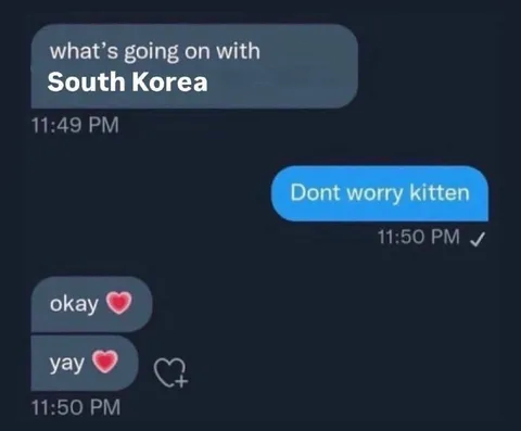 Don’t Worry Kitten