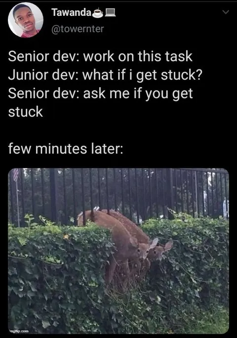 Junior Developer Gets Stuck