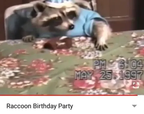 Raccoon Birthday Party