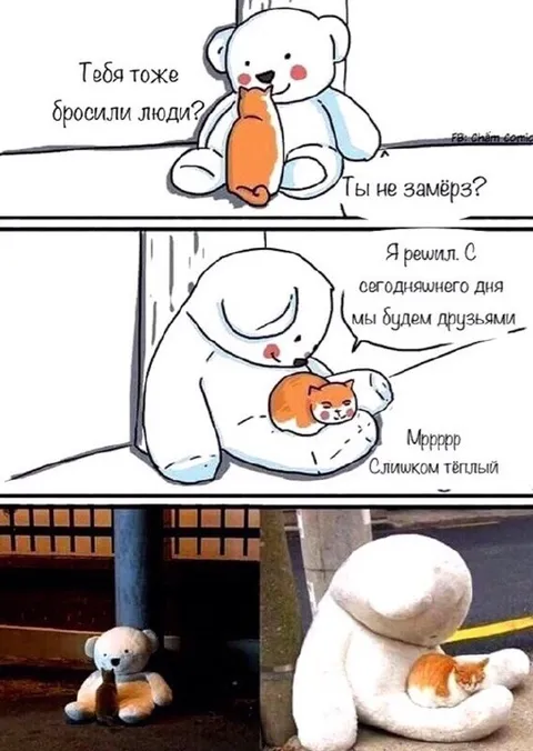 Мишка нашёл друга на улице