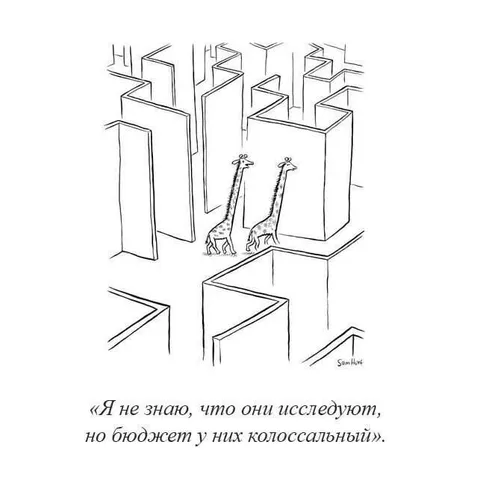 Колоссальный бюджет исследования