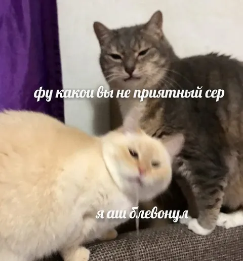 Неприятный сэр и блевотина