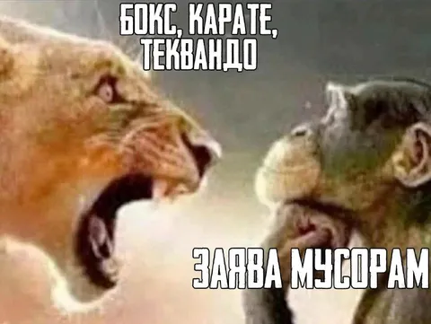 Бокс карате и тхэквондо