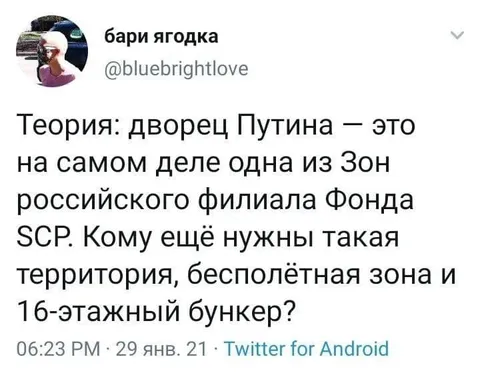 Дворец Путина — филиал Фонда SCP