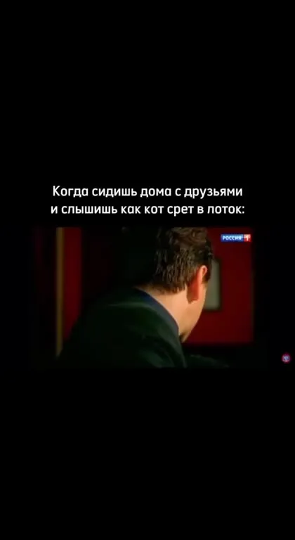 Кот срёт в лоток